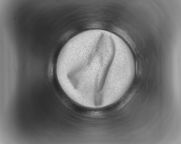 X0000100940157200807221205