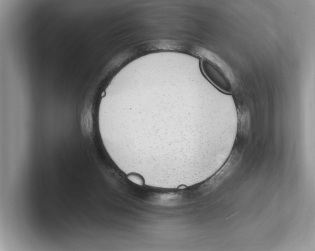 X0000100940158200807221205