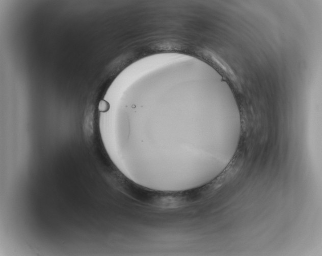 X0000100940163200807221205