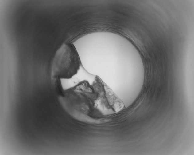 X0000100940165200807221205