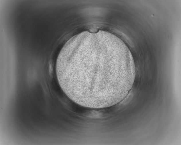 X0000100940166200807221205