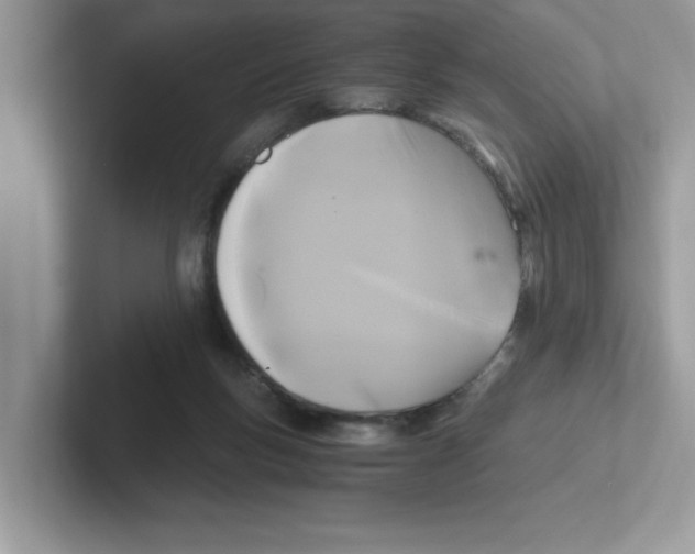 X0000100940167200807221205