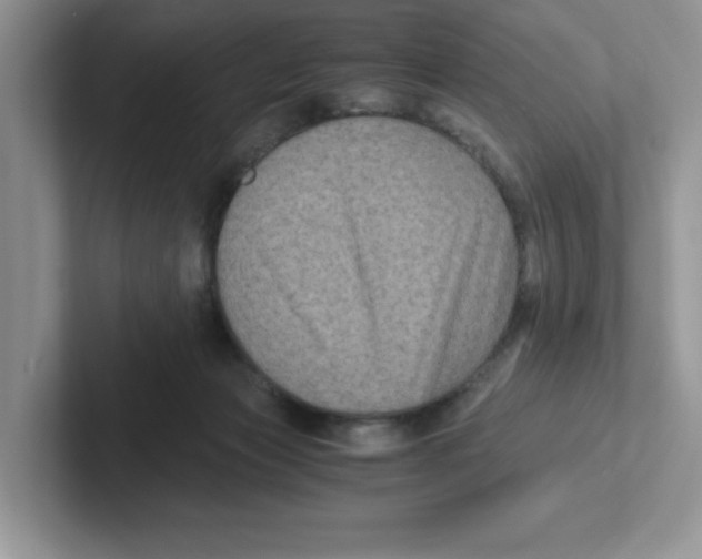 X0000100940173200807221205