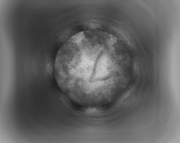 X0000100940177200807221205