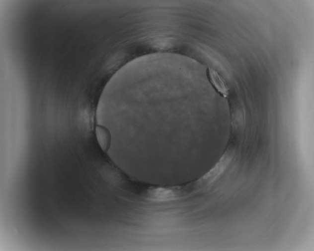 X0000100940180200807221205