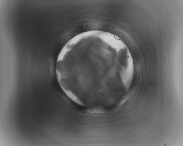 X0000100940181200807221205