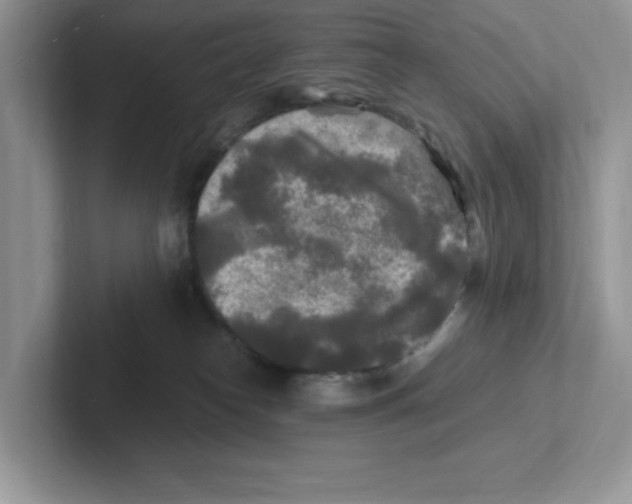 X0000100940182200807221205