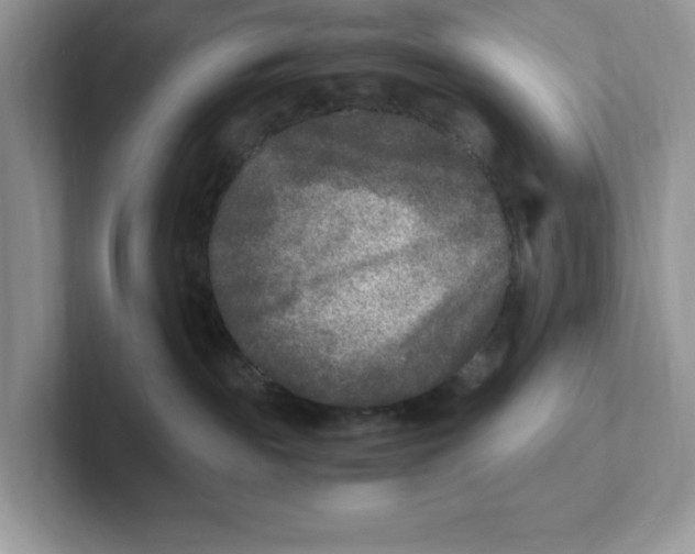 X0000100940189200807221205