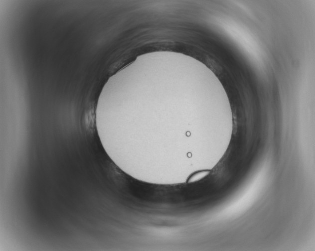 X0000100940190200807221205