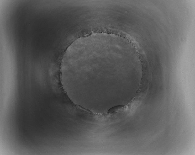 X0000100940192200807221205