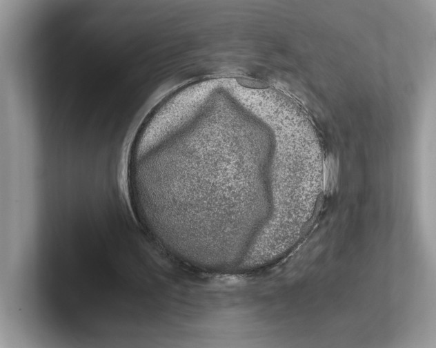 X0000100940195200807221204