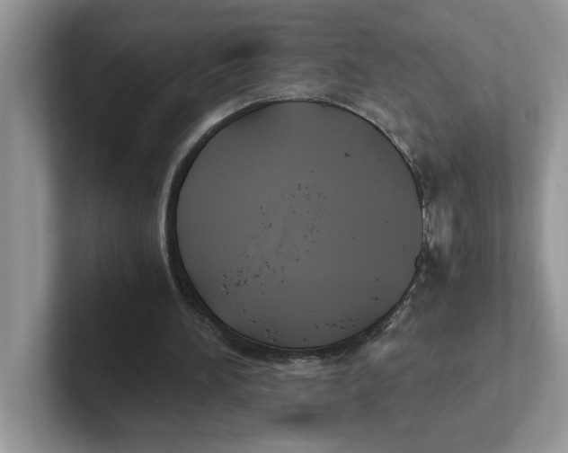 X0000100940196200807221204