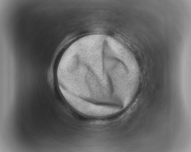 X0000100940198200807221204