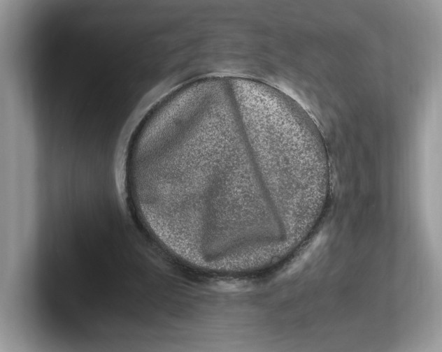 X0000100940199200807221204