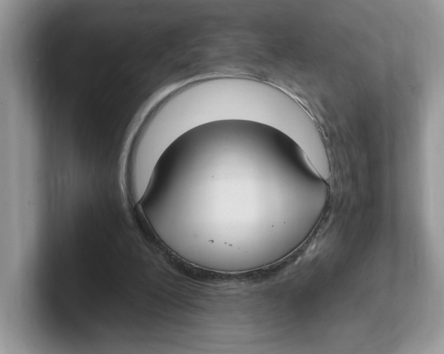 X0000100940200200807221204