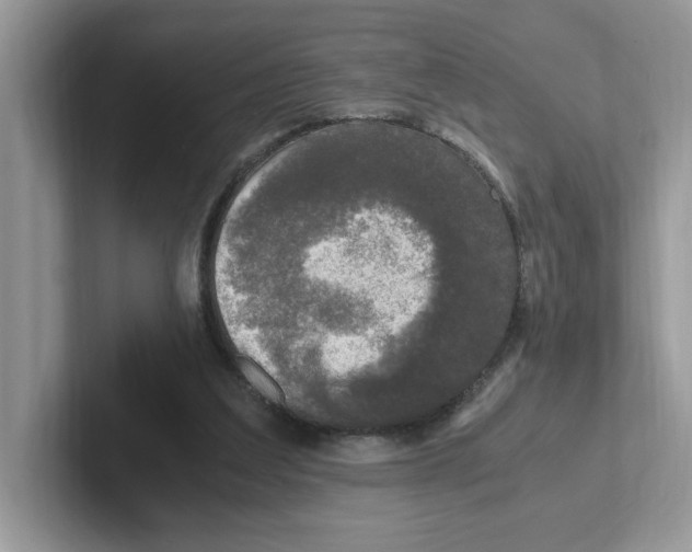 X0000100940203200807221204