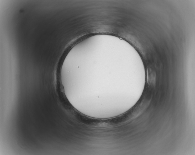 X0000100940204200807221204