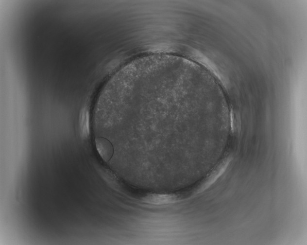 X0000100940205200807221204