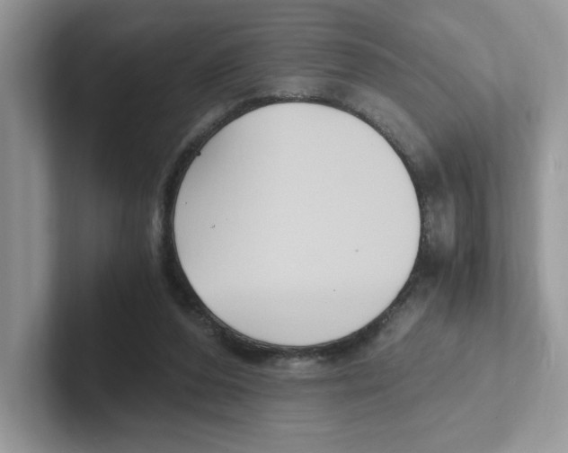 X0000100940208200807221204