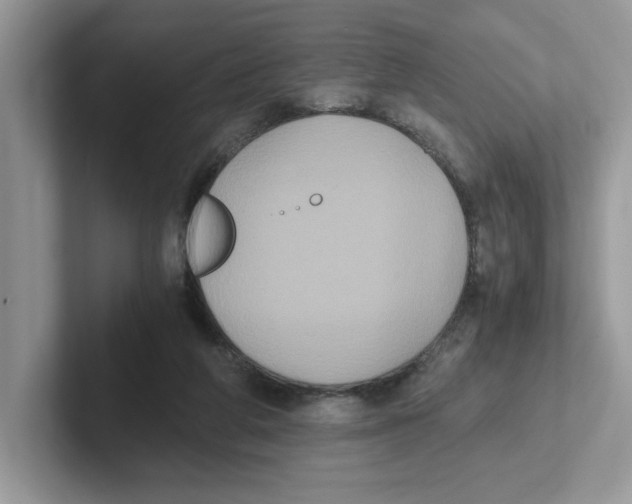 X0000100940210200807221204