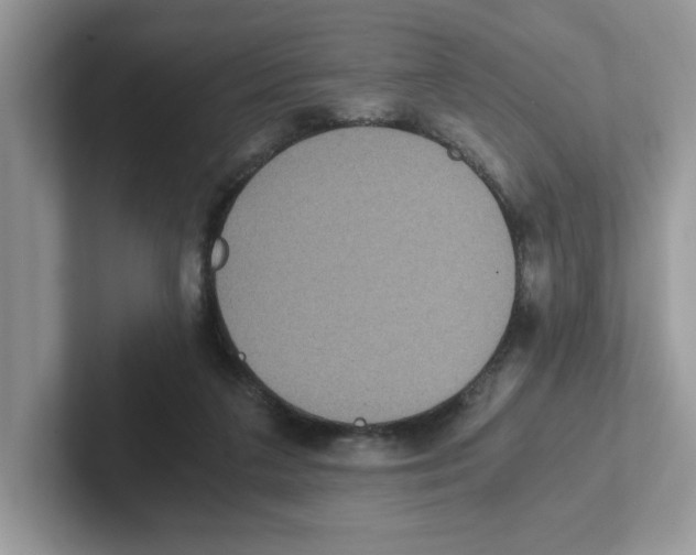 X0000100940211200807221204