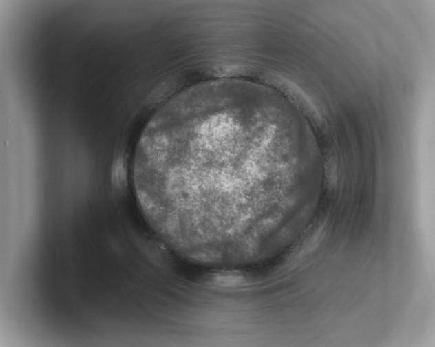 X0000100940214200807221204