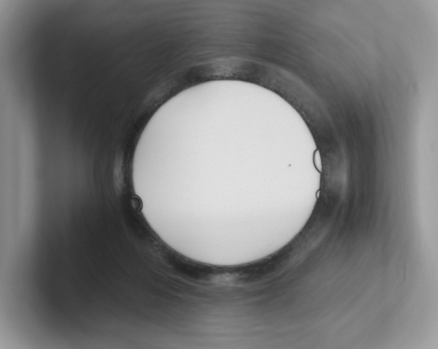 X0000100940216200807221204