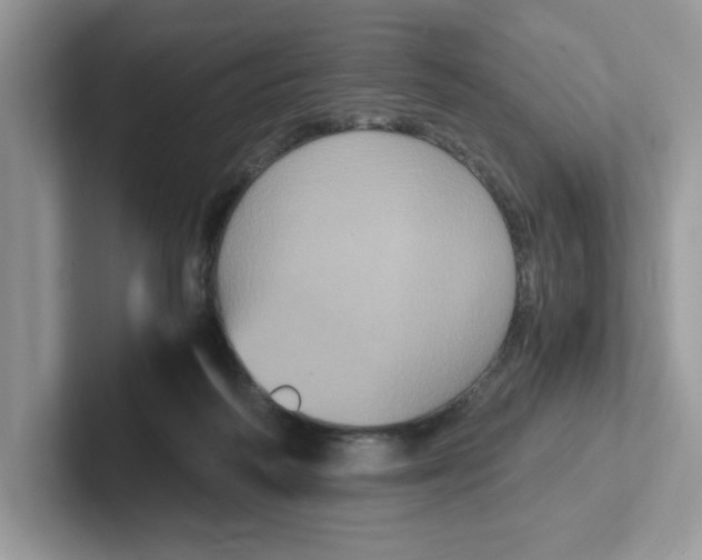 X0000100940218200807221204