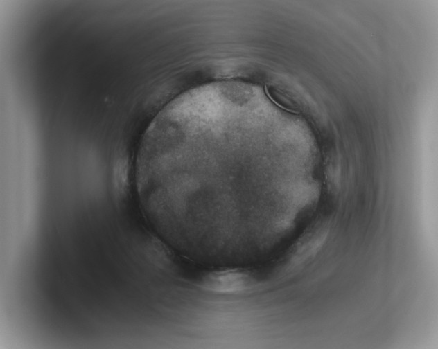 X0000100940219200807221204