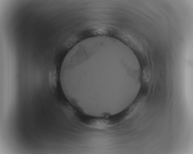 X0000100940223200807221204