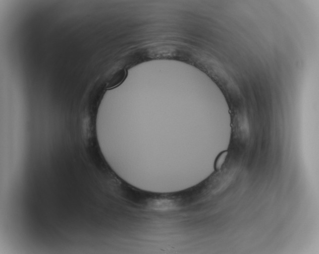 X0000100940224200807221204