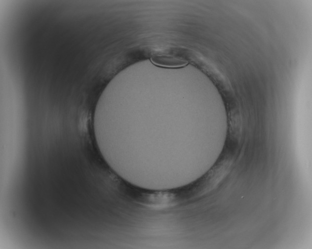 X0000100940225200807221204