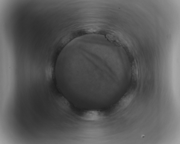 X0000100940227200807221204