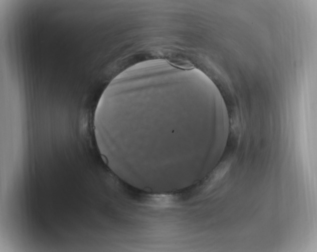 X0000100940233200807221204