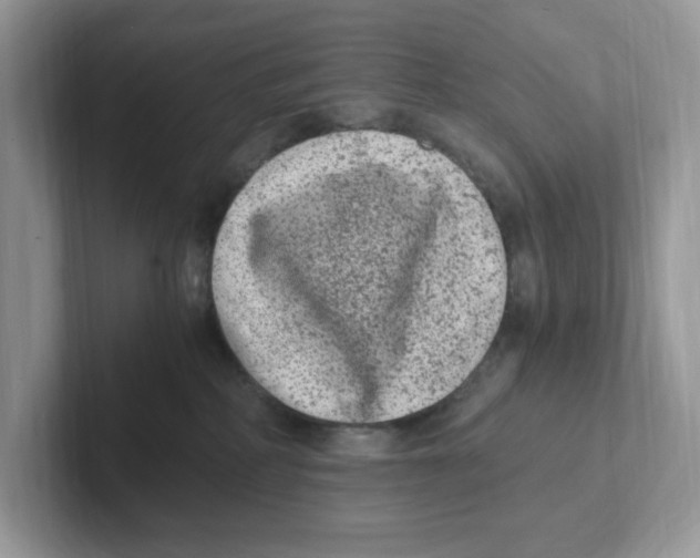 X0000100940234200807221204