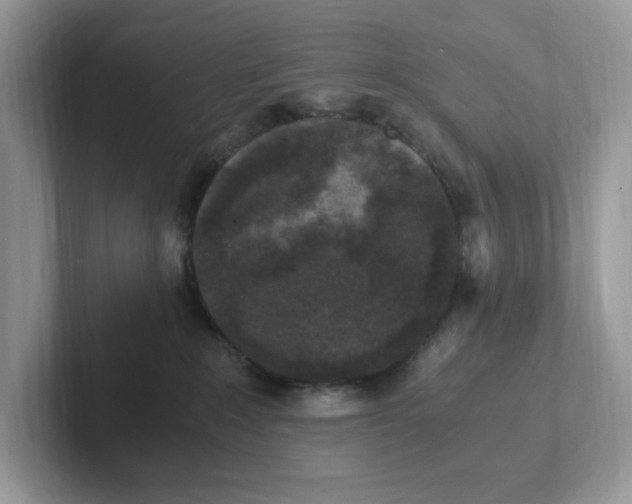 X0000100940235200807221204