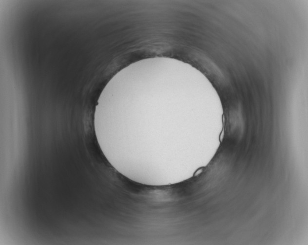 X0000100940236200807221204