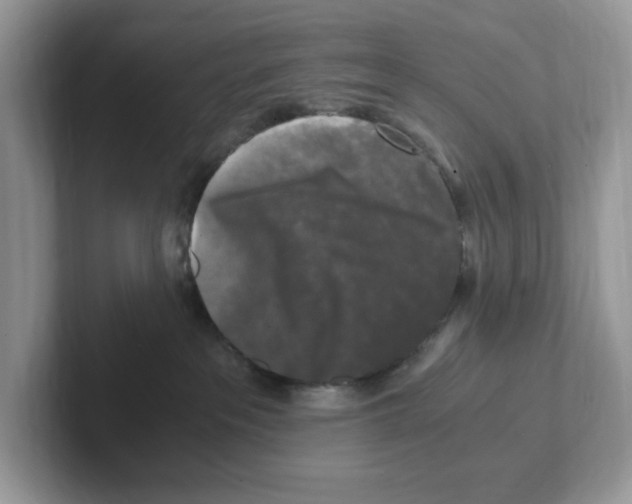 X0000100940237200807221204