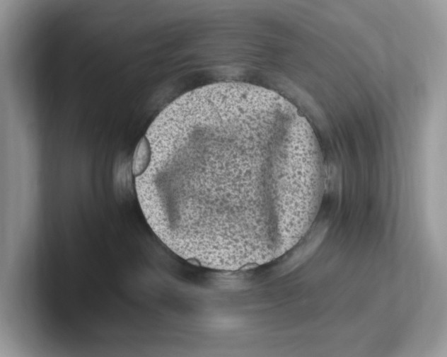 X0000100940238200807221204