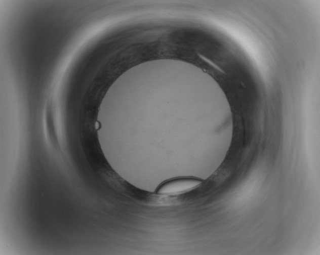 X0000100940239200807221204