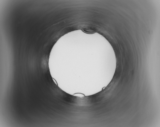 X0000100940240200807221204