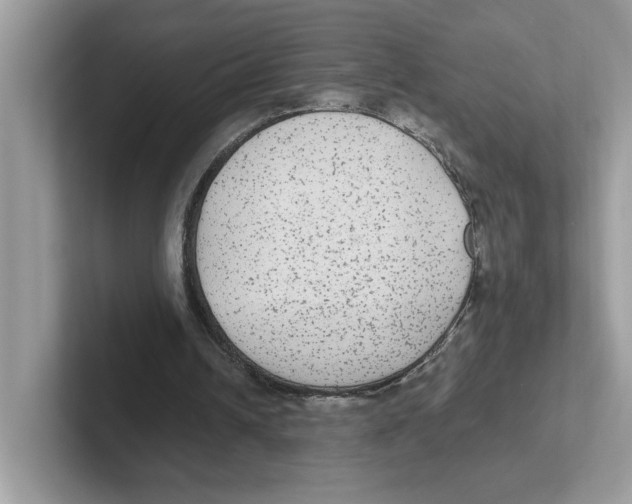 X0000100940242200807221203