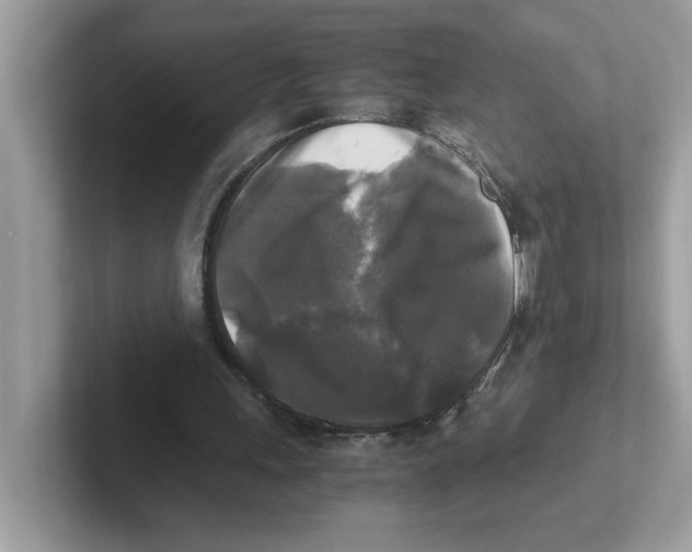 X0000100940243200807221203