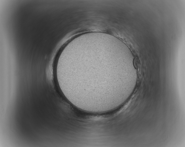 X0000100940246200807221203