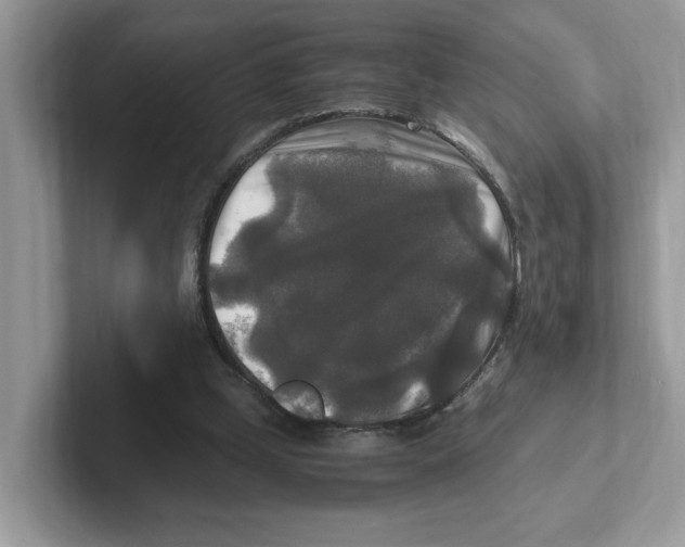 X0000100940249200807221203