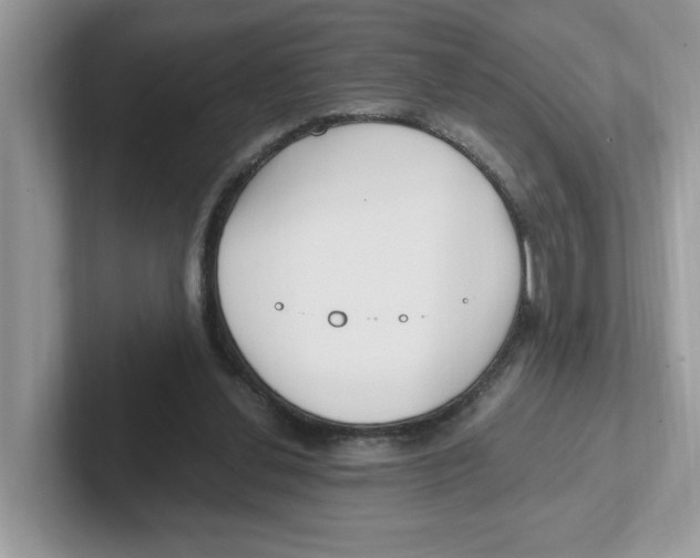 X0000100940252200807221203