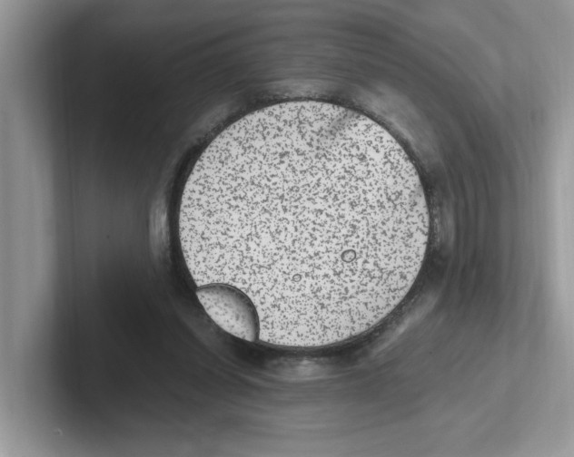 X0000100940254200807221203