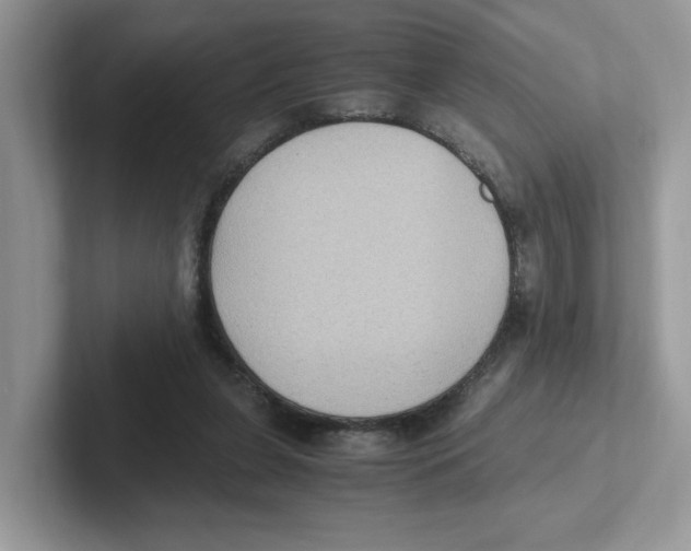 X0000100940255200807221203