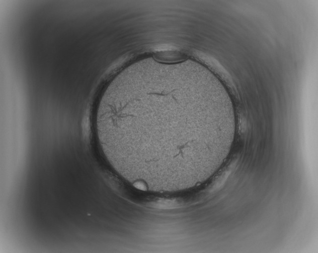 X0000100940256200807221203