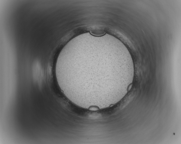 X0000100940258200807221203